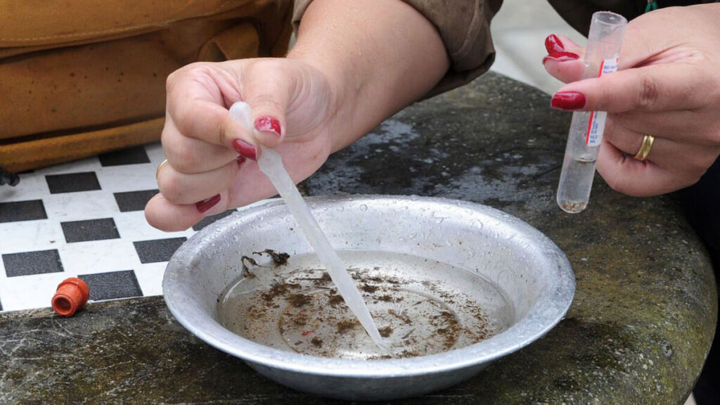 Arapongas tem 1.314 casos confirmados de dengue e um de Chikungunya