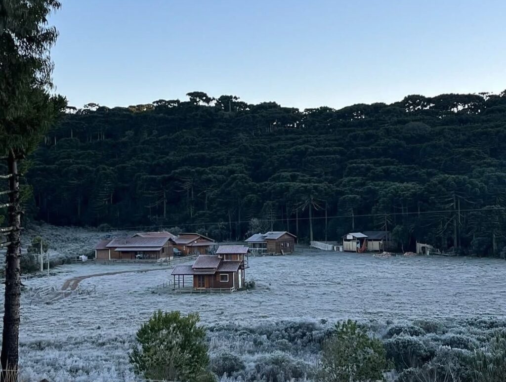 Santa Catarina tem a madrugada mais fria do ano: -8,16°C em Urupema