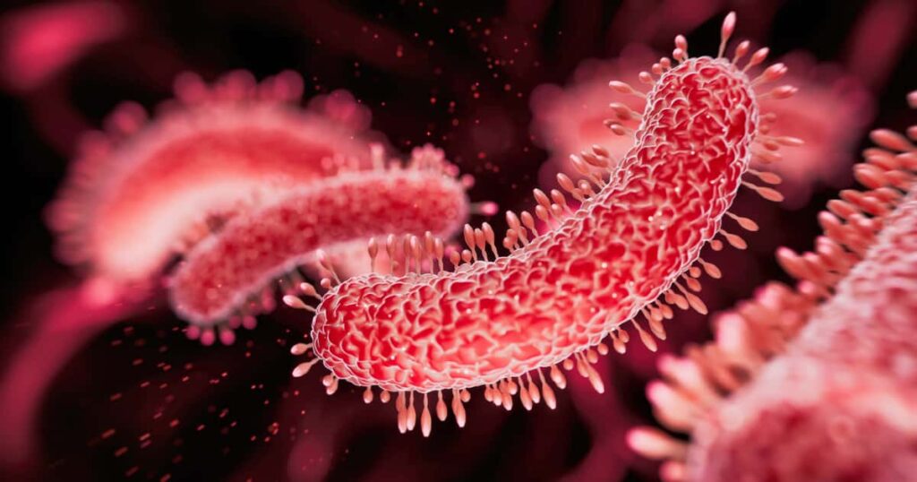 Existe relação entre bactérias intestinais e câncer colorretal, diz estudo