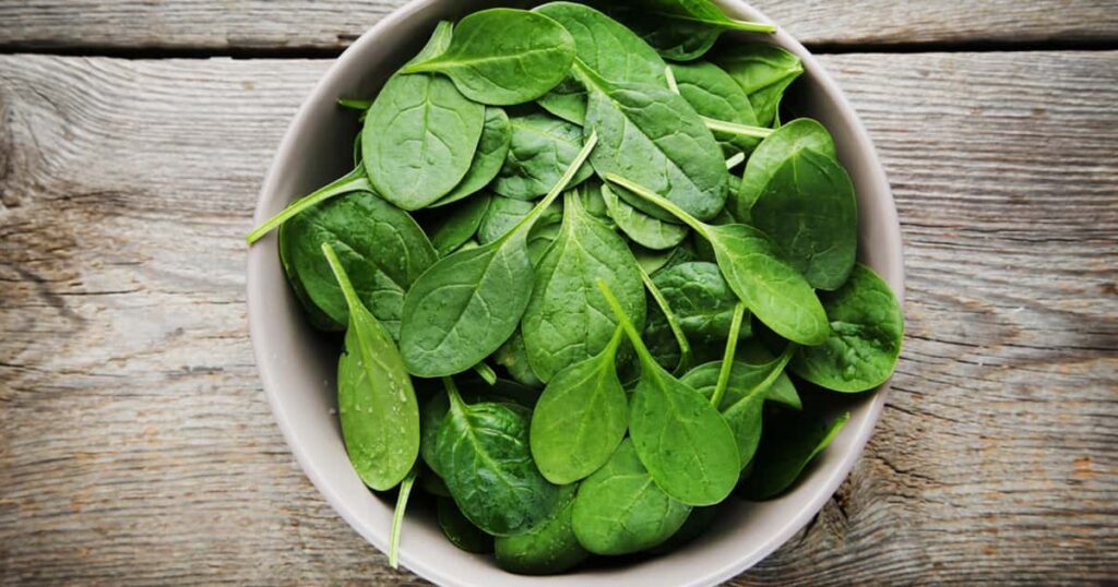 Vegetal pouco valorizado fortalece articulações e estimula a produção de colágeno