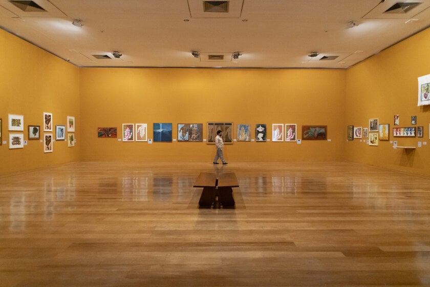 Flávio Império na Pinacoteca de São Paulo
