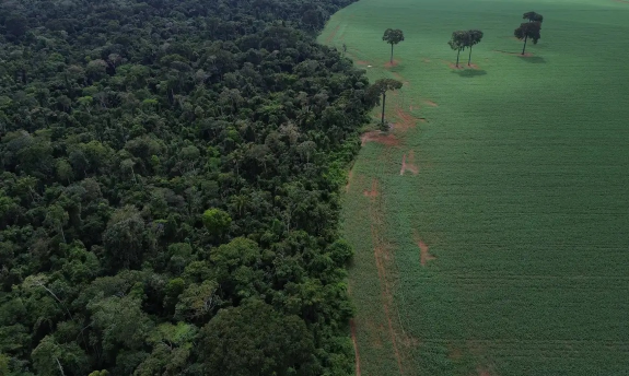Brics: financiamento climático é responsabilidade de países ricos