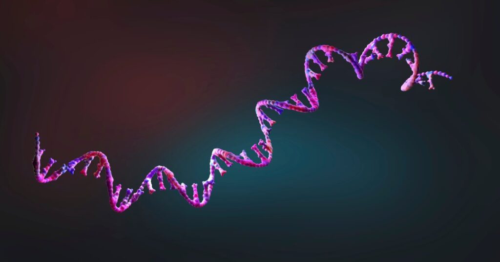 Nova vacina “universal” contra câncer feita com RNA avança em estudos