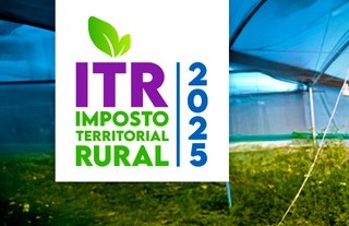 DITR 2025 começa em 11 de agosto e poderá ser feita diretamente no Portal de Serviços da RFB – Sistema FENACON