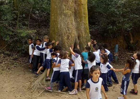Curso pioneiro vai capacitar professor para abordar mudanças climáticas em sala de aula