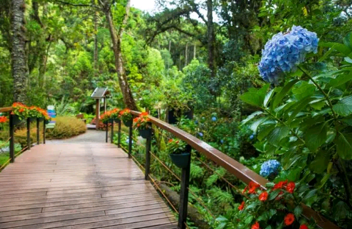 Festivais de Inverno se espalham por São Paulo; veja programação