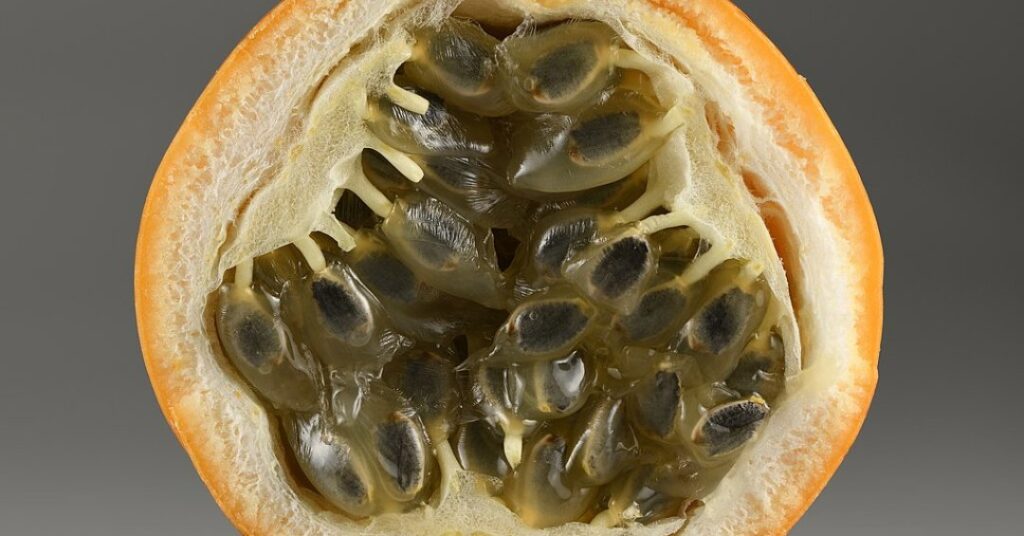 Prima do maracujá é rica em vitaminas A e C e ajuda fortalecer sistema imune