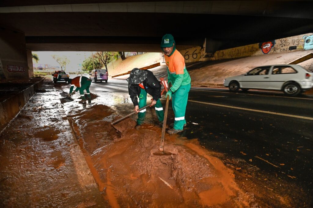 Chuva em Campinas derruba 50 árvores e prejudica serviços de saúde