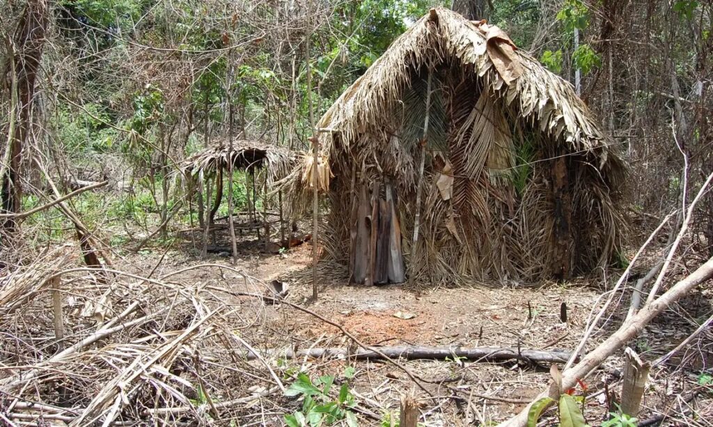 Supremo homologa plano de criação do Parque Nacional Tanaru