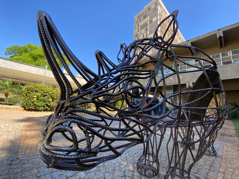 De Dalí a Caçador: os rinocerontes que marcaram Campinas em 1998 e 2025
