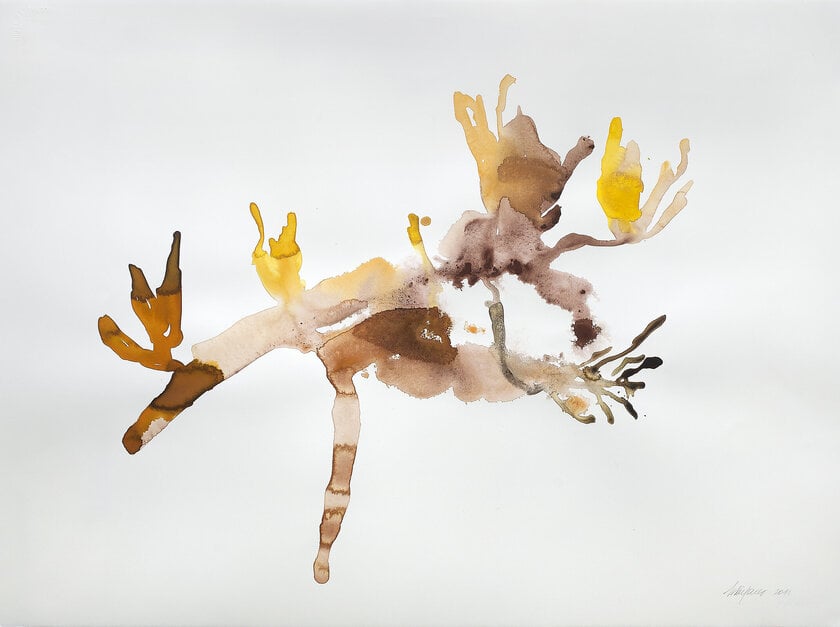 exposição reúne obras de Maria Villares e Coca Rodriguez Coelho no Espaço Nexus