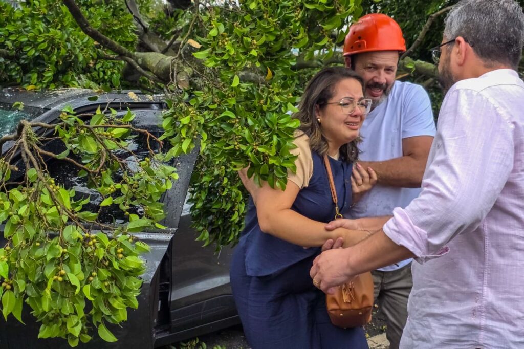 Ação rápida e integrada da GCM e Defesa Civil salva motorista após queda de árvore em São Caetano