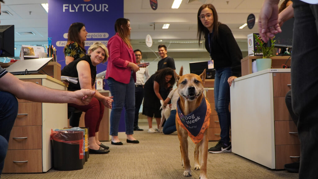 benefício pet corporativo