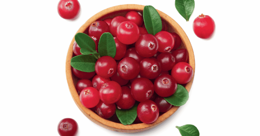 Cranberry: veja motivos para colocar essa frutinha na rotina
