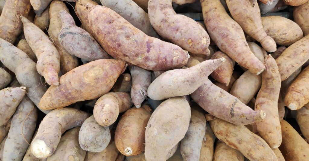 Chá da casca de batata-doce: descubra se tem benefícios