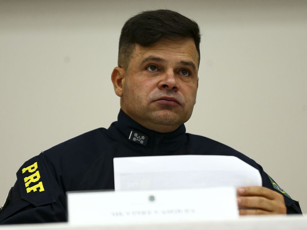 malas, cachorro e carro alugado