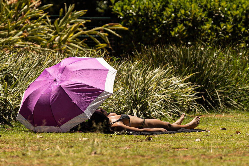 São Paulo pode ter calor de até 36°C neste domingo (11) - 11/01/2026 - Cotidiano