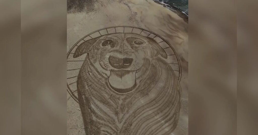 Artista faz desenho na areia em homenagem ao cachorro Orelha em praia de SC