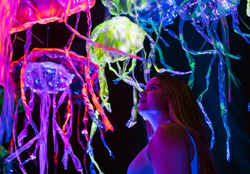 Mooca Plaza Shopping recebe exposição imersiva Oceano Vivo