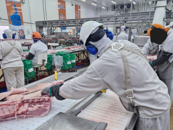 TST mantém decisão que protege gestantes de ambientes com ruído em frigorífico em Seberi