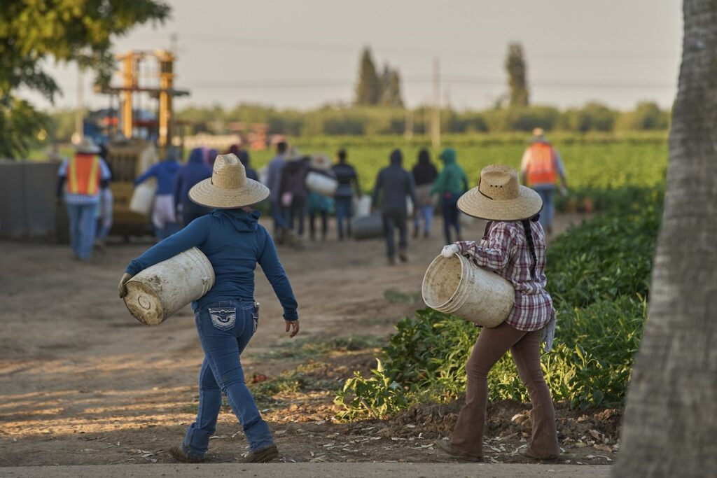 O que muda se Reino Unido e EUA atingirem a migração líquida zero? | Opinião