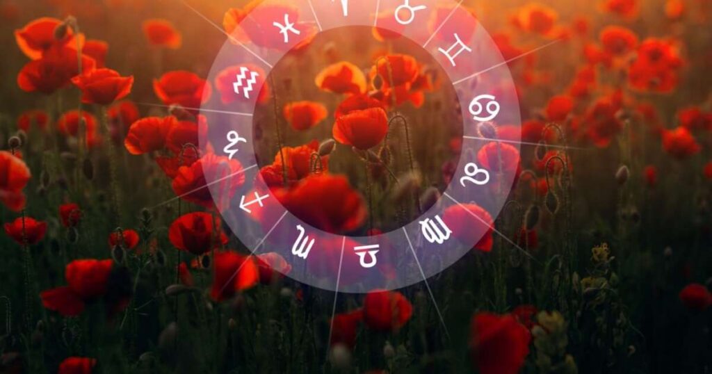 previsão para os 12 signos em 31/01/2026