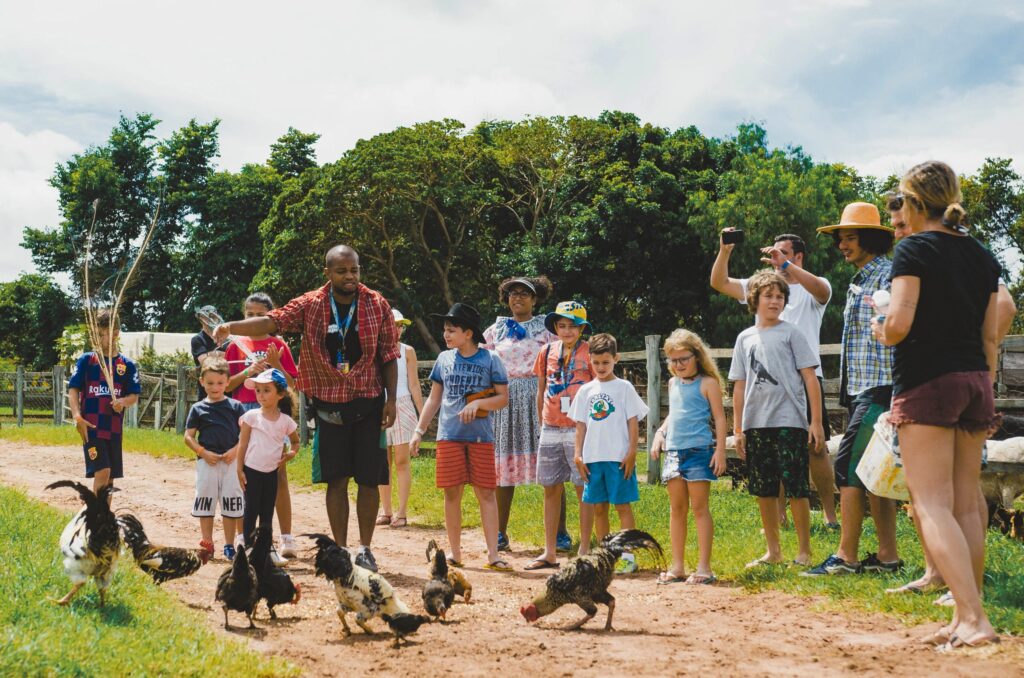 Do campo ao conforto: Brotas Eco Hotel Fazenda abraça o conceito Farm Hospitality e transforma a experiência de hotel fazenda no interior de São Paulo