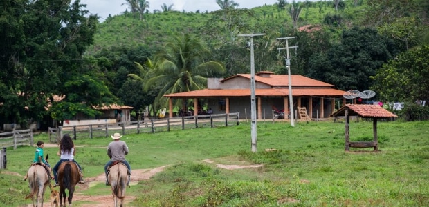 Arrendamento de imóvel rural à luz da sua função social