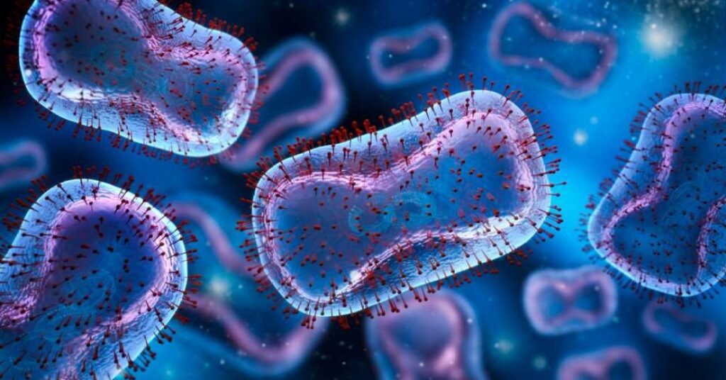 Brasil soma 88 casos de mpox; “alta dialoga com carnaval, mas não se compara a 2022”, diz especialista