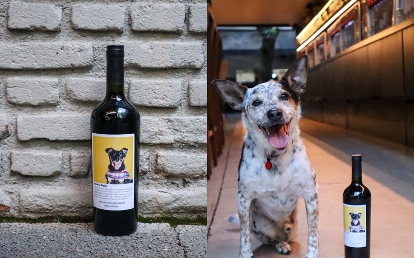 Bardega Wine Bar lança vinho solidário para incentivar adoção de cães