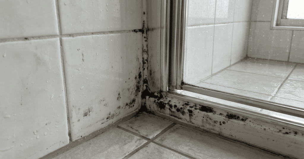 Eliminar o mofo do banheiro é um ritual anual de cinco minutos que substitui o uso de água sanitária, muitas vezes subestimada