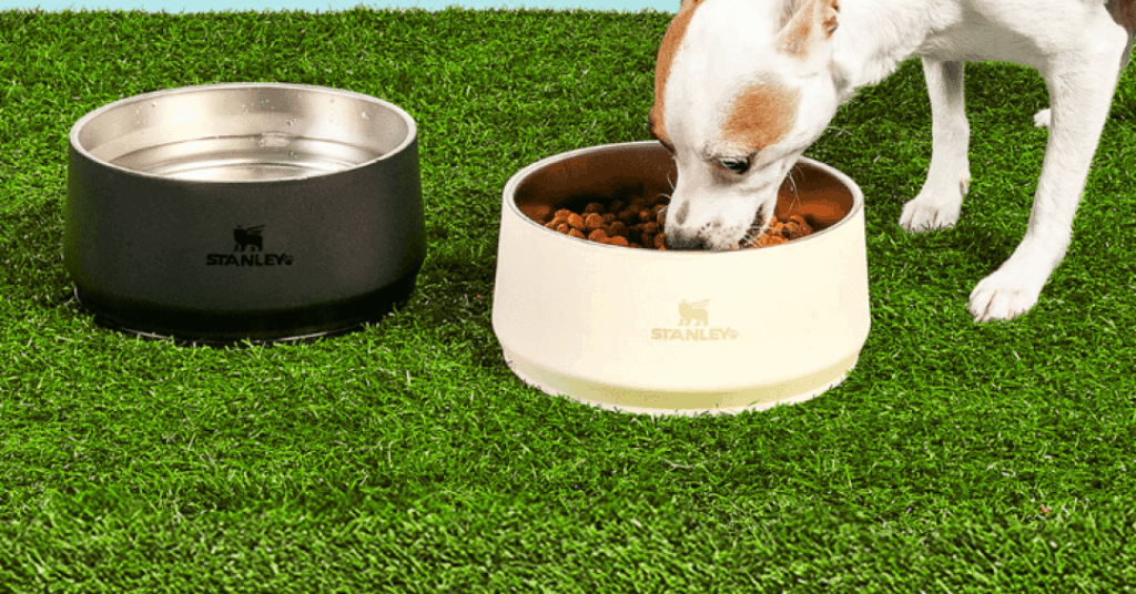 Copo Stanley para pets: marca lança potes térmicos para dar água e comida a cães e gatos