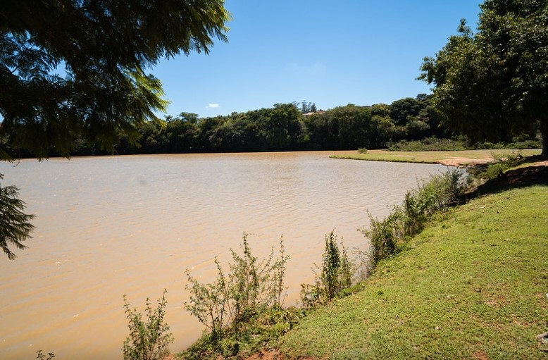 Prêmio internacional situa Valinhos entre cidades referência em arborização