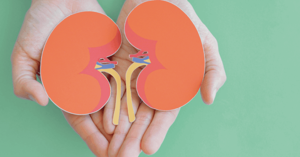 Doença renal vai muito além dos rins: pode afetar coração e cérebro