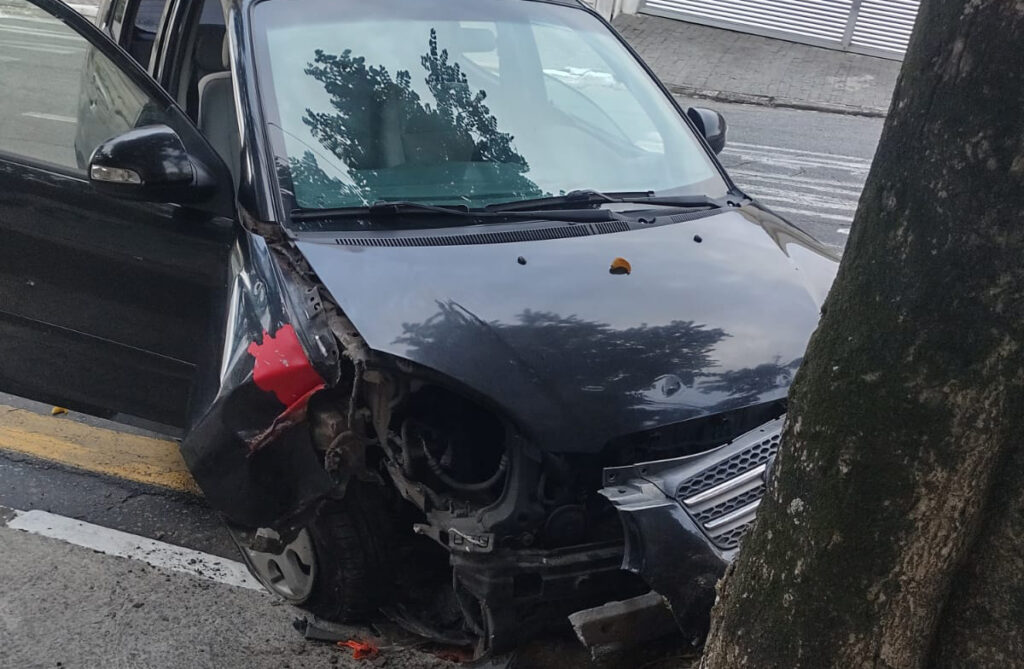 GCM de Diadema prende motorista embriagado que colidiu com árvore