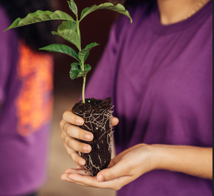 Fundação Educar abre inscrições gratuitas para oficina de sustentabilidade ambiental