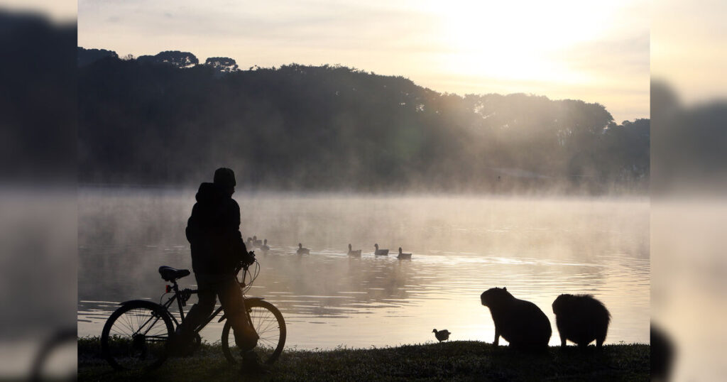 PR terá geadas e grande variação de temperatura até domingo