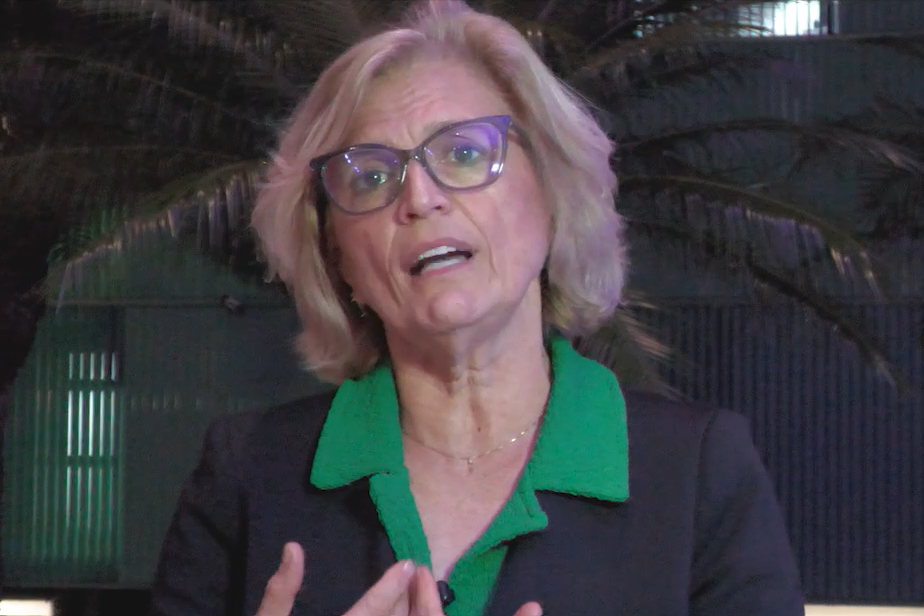 Barrar acesso não é saída contra litigância, diz consultora do BB