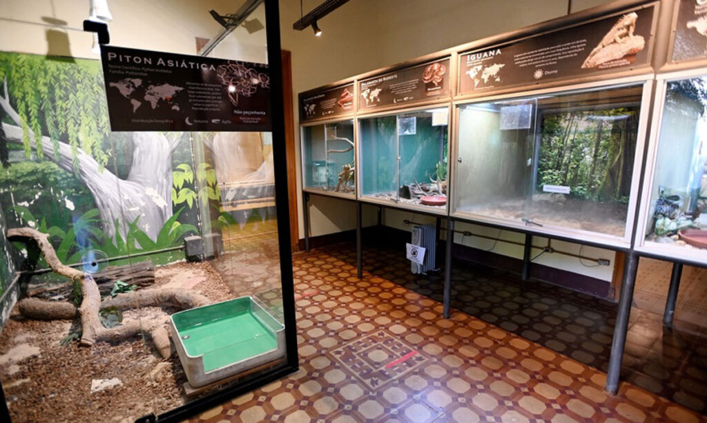 Aquário Municipal e Casa dos Animais Interessantes são reformados e reabrem ao público no Bosque dos Jequitibás