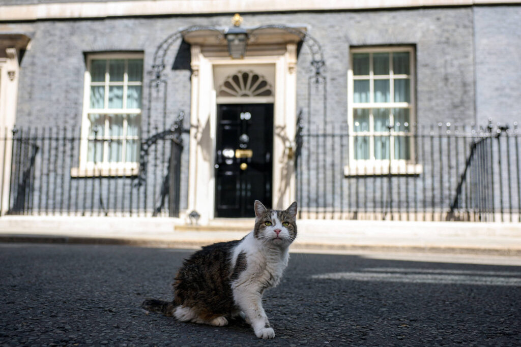Quem é Andy Burnham na fila do gato Larry - 21/07/2026 - Gatices