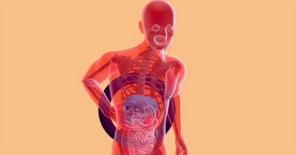 Aneurisma de aorta abdominal: a “bomba-relógio” silenciosa que pode ser detectada a tempo