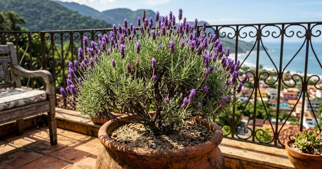 O arbusto que virou tendência na jardinagem por perfumar sem exigir muita poda e resistir ao calor extremo