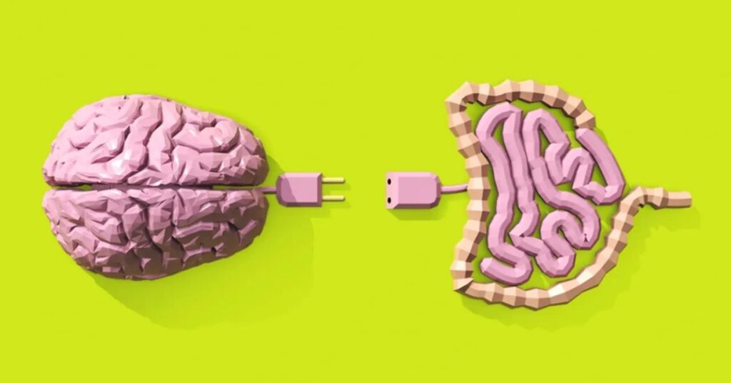 O telefone sem fio entre intestino e cérebro que atrapalha o emagrecimento