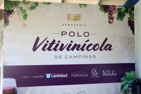 Criação do Polo Vitivinícola de Campinas busca estimular investimentos, fortalecer produtores e o turismo rural