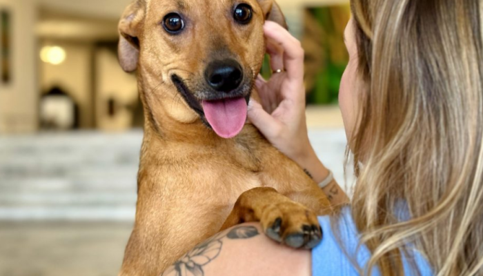 Governo de SP sanciona lei que autoriza o sepultamento de cães e gatos em jazigos familiares