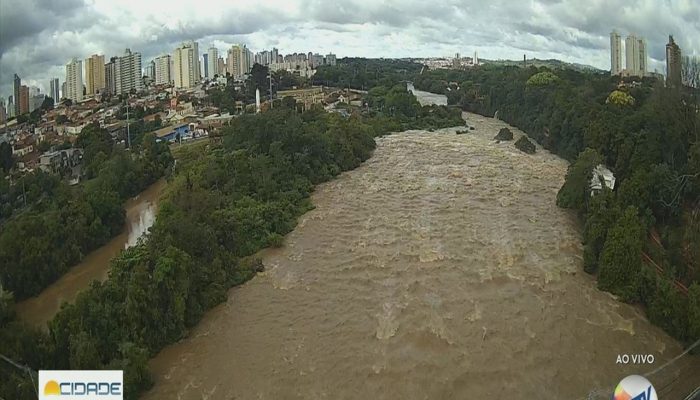 1 de 4Árvora cai e fecha faixa da Avenida Centenário em Piracicaba — Foto: Edijan Del Santo/EPTV