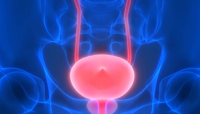 Cirurgia robótica para câncer de próstata será incorporada ao SUS

             -       
        Magicmine/Adobe Stock
