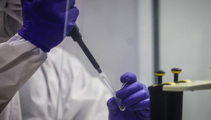 Técnico em labotarório de universidade na cidade de São Paulo


             -       
        Zanone Fraissat - 9.dez.24/Folhapress