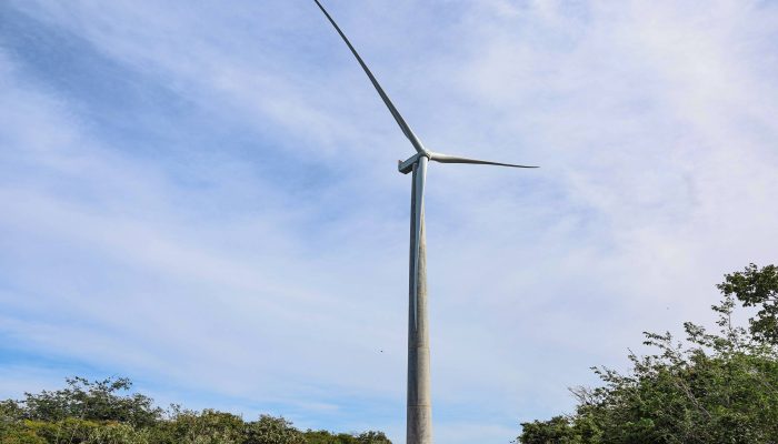 Lula vetará indenização com custo de R$ 7 bi na luz - 14/11/2025 - Mercado