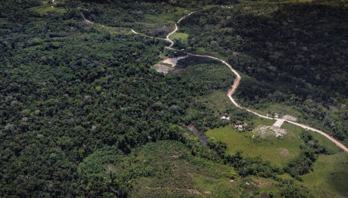Início do Ramal Barbary (bifurcação à esquerda), que liga o município de Porto Walter a Cruzeiro do Sul, no Acre. A estrada, construída com recursos de emendas parlamentares, foi aberta sem o devido processo de licenciamento ambiental e chegou a invadir a Terra Indígena Jaminawa do Igarapé Preto
             -       
        Henrique Santana/Folhapress
